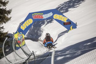 Alpine Coaster